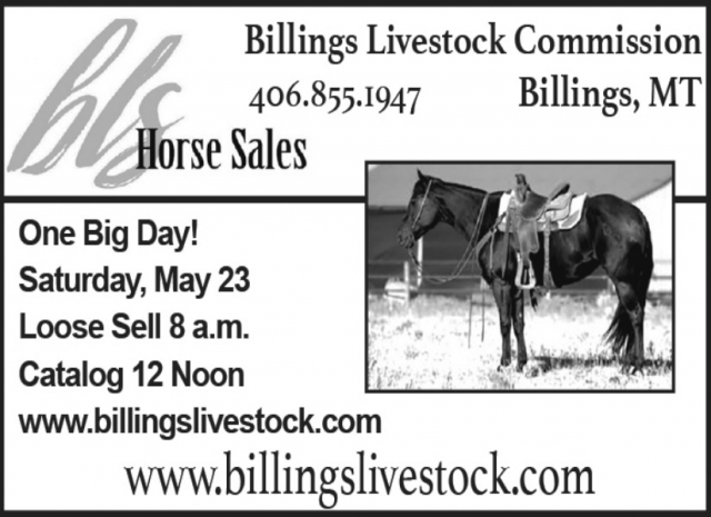 Horse Sales, Billings Livestock Commission, Billings, MT