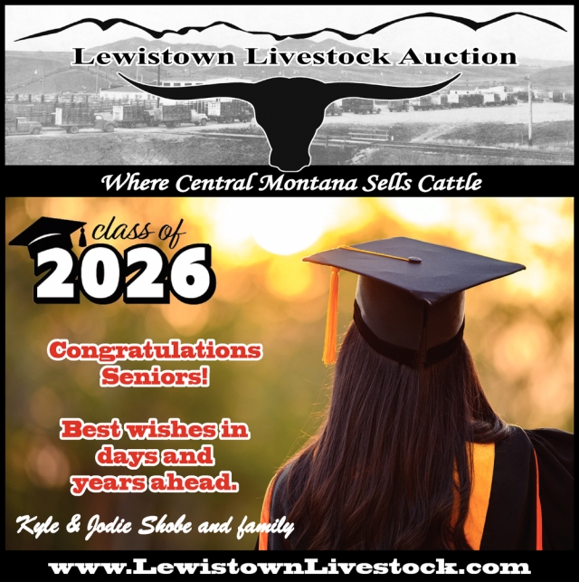 Livestock Auctions, Lewistown Livestock Auction, Lewistown, MT