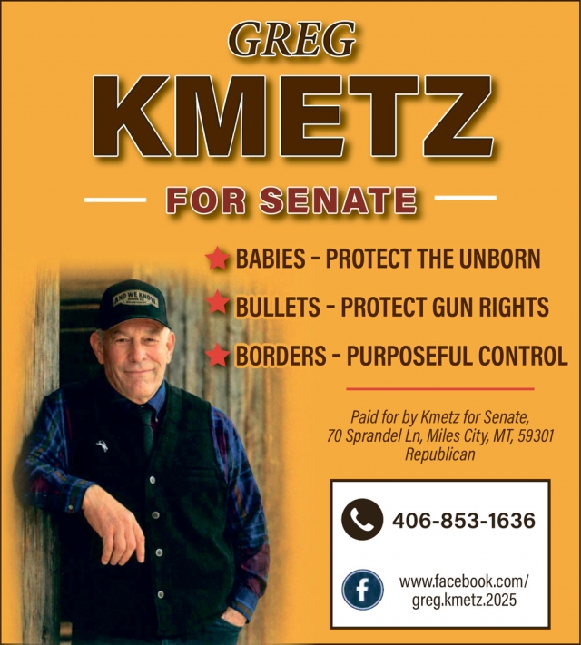 Kmetz for Senate, Greg Kmetz for Senate