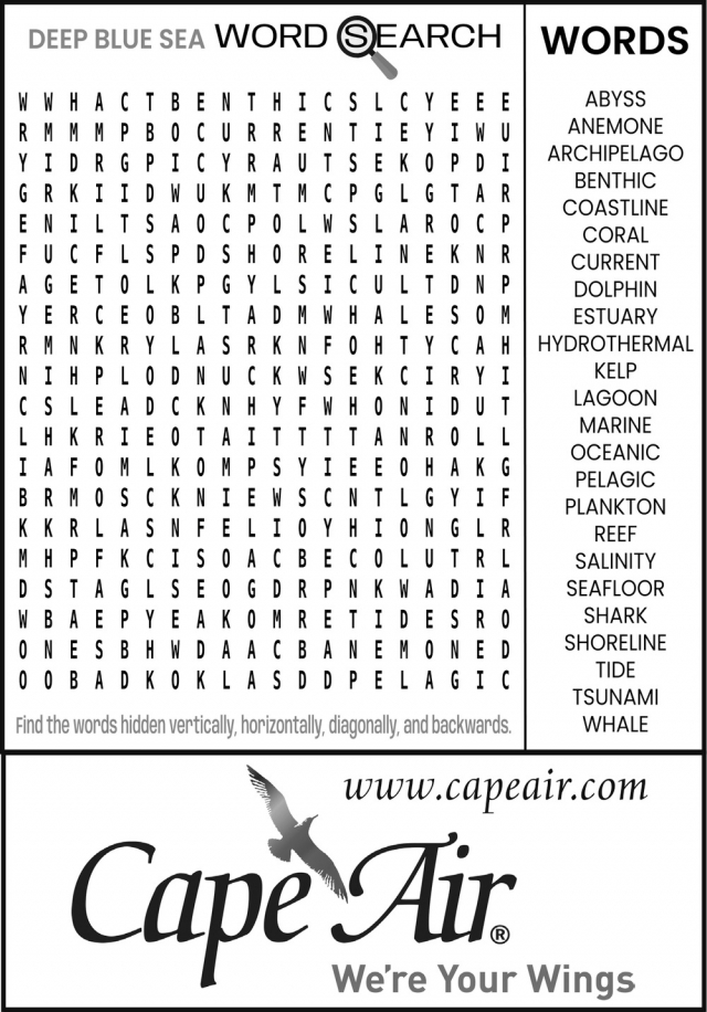 We're Your Wings, Cape Air, Hyannis, MA