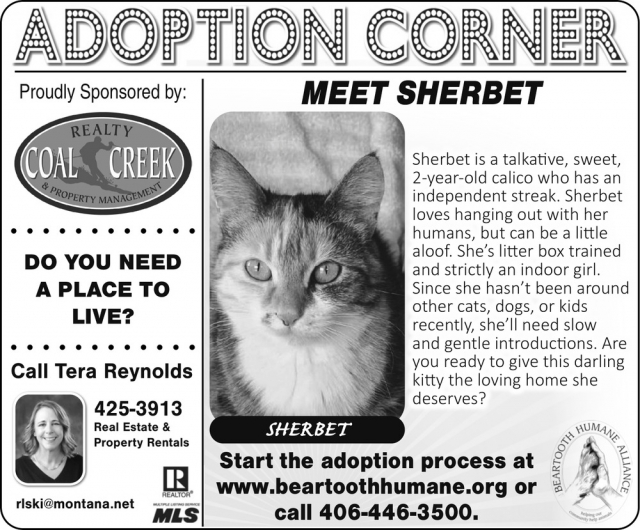Adoption Corner, Tera Reynolds - Coal Creek Realty & Property Management