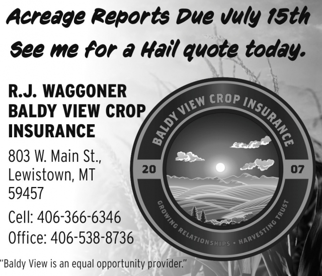 Crop Insurance, Baldy View Crop Insurance