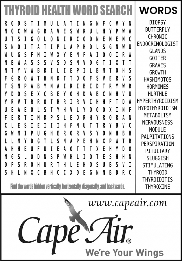 We're Your Wings, Cape Air, Hyannis, MA