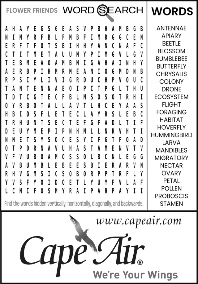We're Your Wings, Cape Air, Hyannis, MA