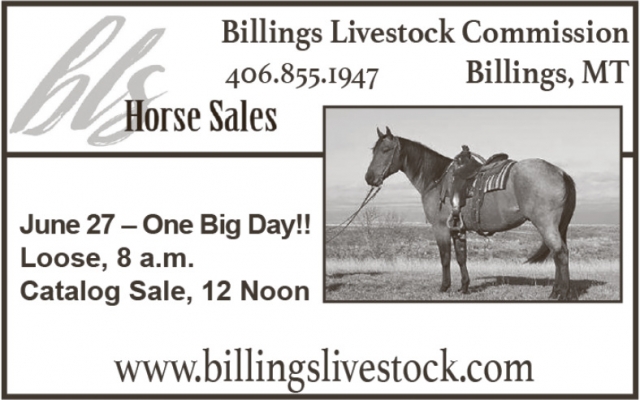 Horse Sales, Billings Livestock Commission, Billings, MT