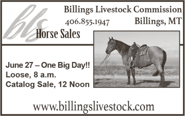 Horse Sales, Billings Livestock Commission, Billings, MT