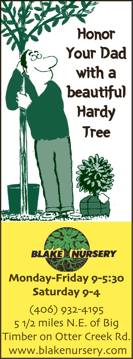 Honor Your Dad with A Beautiful Hardy Tree, Blake Nursery, Big Timber, MT