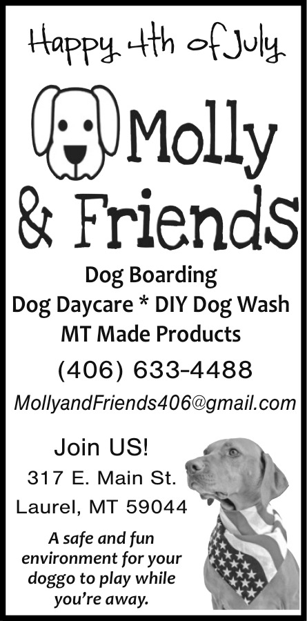 Dog Daycare, Molly & Friends, Laurel, MT