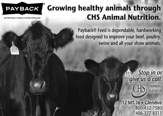 Growing Healthy Animals Through CHS Animal Nutrition, CHS Farmers Elevator, Miles City, MT