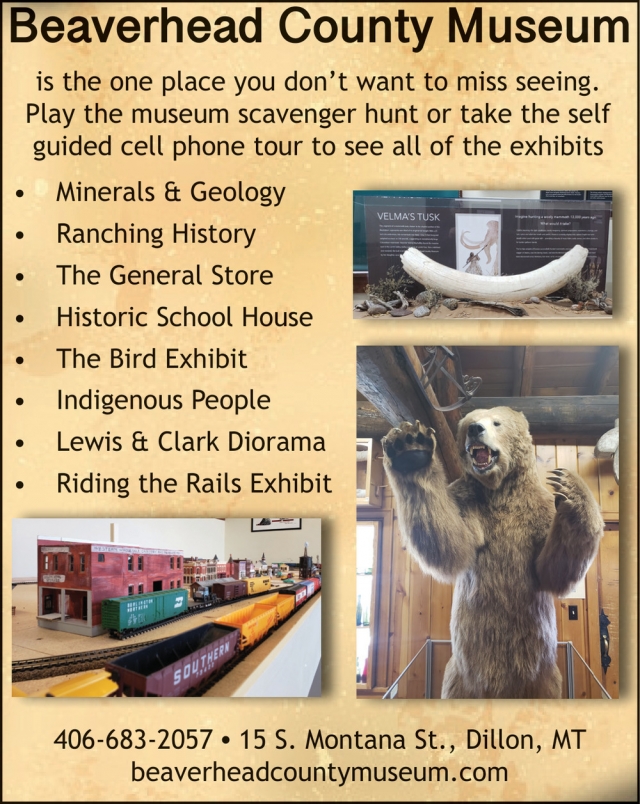 Museum, Beaverhead County Museum