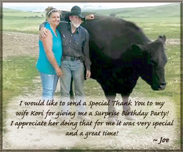 Thank You , Joe