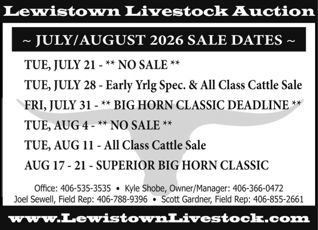 Livestock Auction Now, Lewistown Livestock Auction, Lewistown, MT
