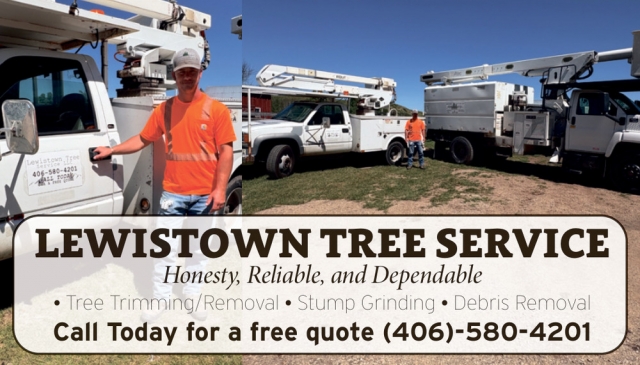 Stump Grinding & Tree Care, Lewistown Tree Service, Lewistown, MT