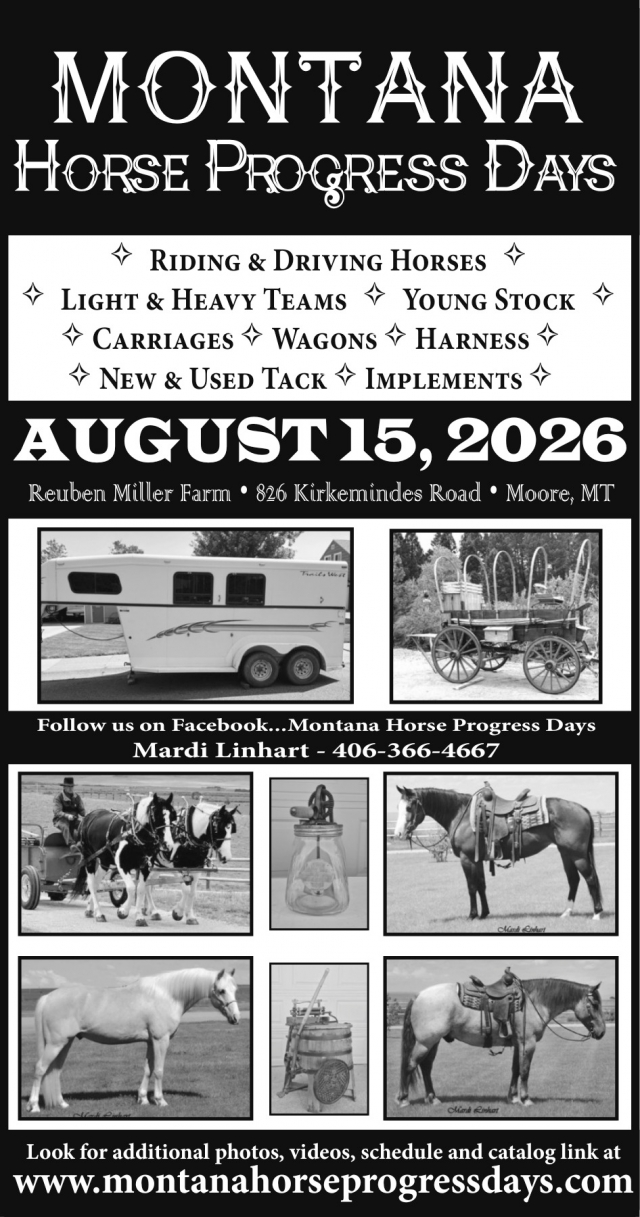 Riding & Driving Showcase, Montana Horse Progress Days (August 15, 2026)