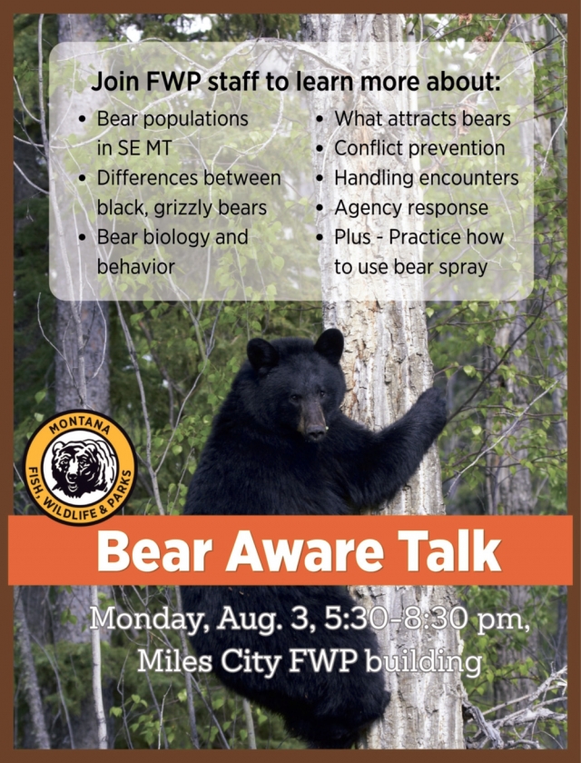 Learn to Handle Bear Encounters, Montana Fish, Wildfire & Parks, Helena, MT