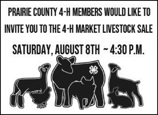 Market Livestock Sale, Prairie County 4-H Council, Bozeman, MT