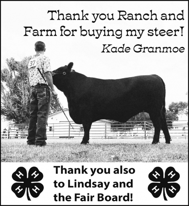 Thank You, Steer Buyer!, Prairie County 4-H Council, Bozeman, MT