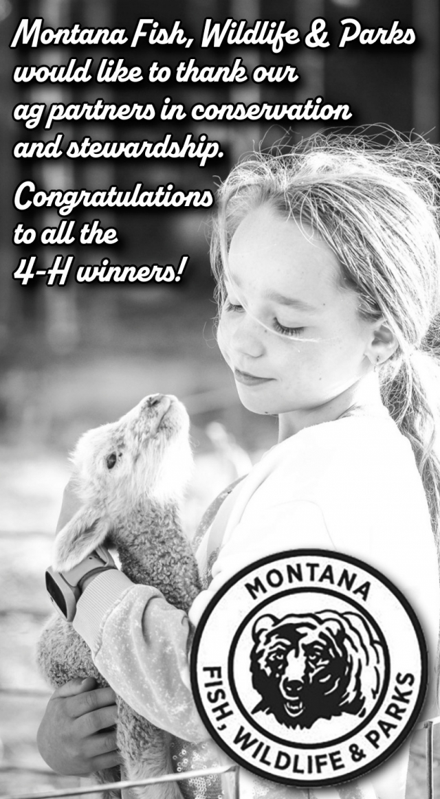 Thank You, & Congrats 4-H Winners, Montana Fish, Wildfire & Parks, Helena, MT