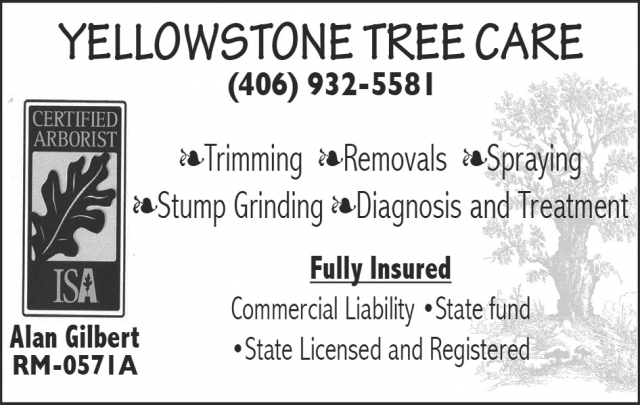 Certified Tree Care Expert, Yellowstone Tree Care