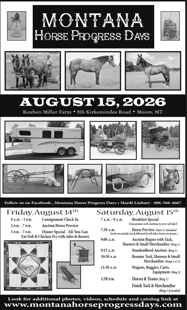 Standardbred Auction Event, Montana Horse Progress Days (August 15, 2026), Moore, MT