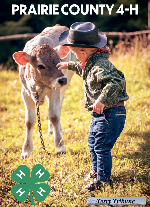 Celebrating Local 4-H Youth, Prairie County 4-H