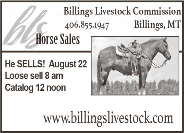 Livestock Horse Auction , Billings Livestock Commission, Billings, MT