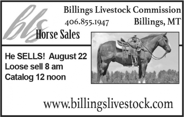 Livestock Horse Auction, Billings Livestock Commission, Billings, MT
