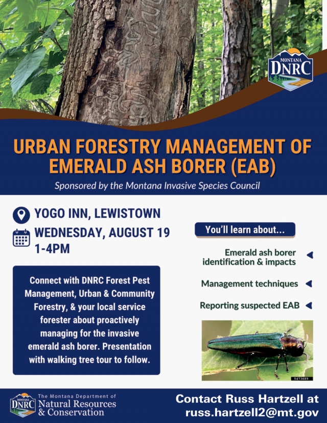 Urban Forestry Workshop, Ash Borer Forestry Talk - August 19, 2026