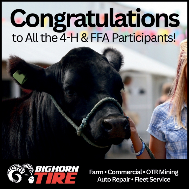 Trusted Tire & Auto Repair, Bighorn Tire, Columbus, MT