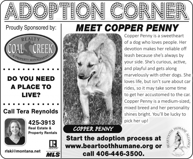 Meet Your New Best Friend, Tera Reynolds - Coal Creek Realty & Property Management