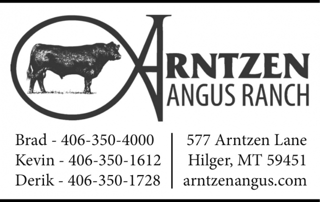 Call for Quality Angus Today, Arntzen Angus