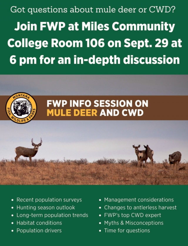 Get Your Deer Questions Answered , Montana Fish, Wildfire & Parks, Helena, MT