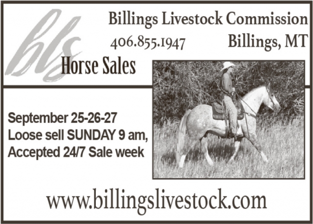 Find Your Next Horse Here, Billings Livestock Commission, Billings, MT