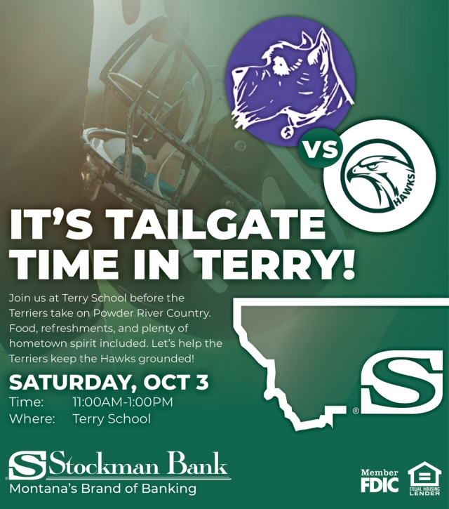 Community Spirit, Game Time, Stockman Bank - Terry, Terry, MT