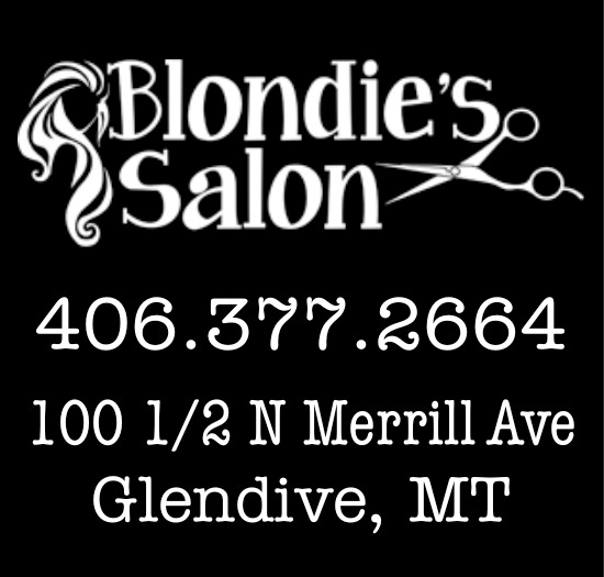 Book Your Next Hair Visit, Blondie's Salon and Wellness, LLC, Glendive, MT