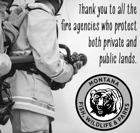Thank You, Fire Agencies, Montana Fish, Wildfire & Parks, Helena, MT