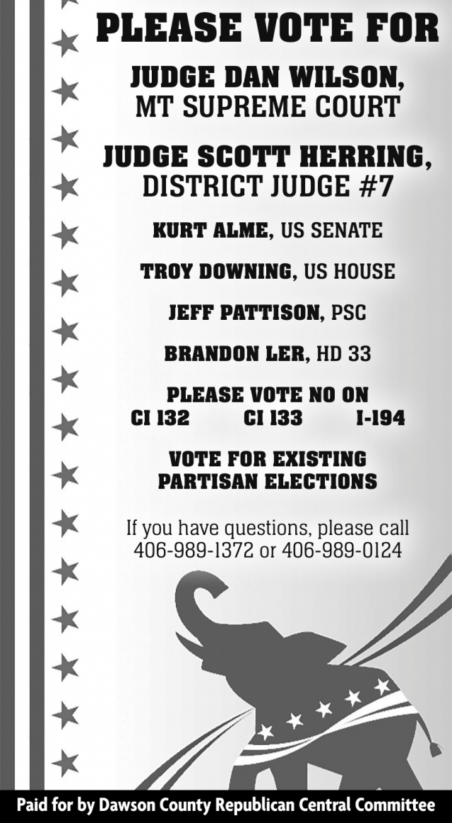Your Voter Guide Is Here, Dawson County Republican Central Committee