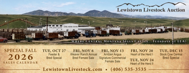 Fall Cattle Sale Lineup, Lewistown Livestock Auction, Lewistown, MT