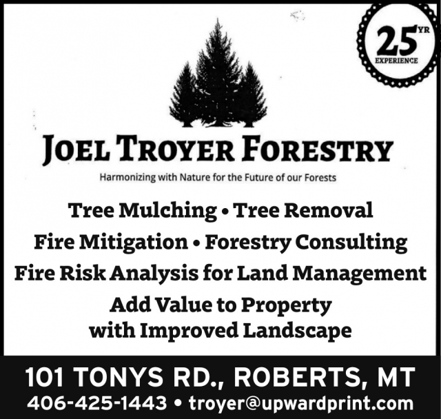 Tree Mulching, Joel Troyer Forestry