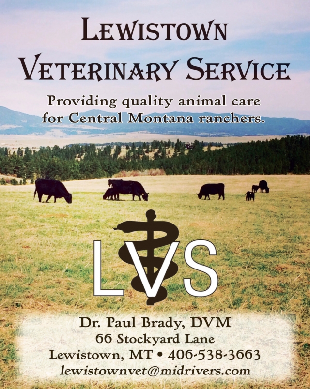 Veterinary Service, Lewistown Veterinary Service, Lewistown, MT