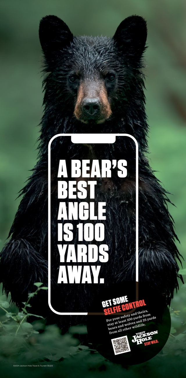 a Bear's Best Angle is 100 Yards Away, Jackson Hole Travel & Tourism Board