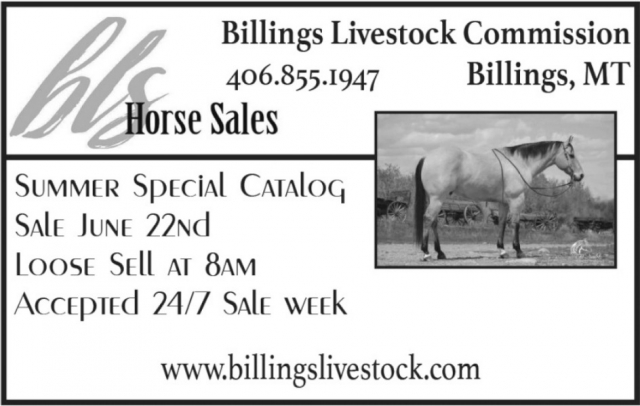 Horse Sales, Billings Livestock Commission, Billings, MT