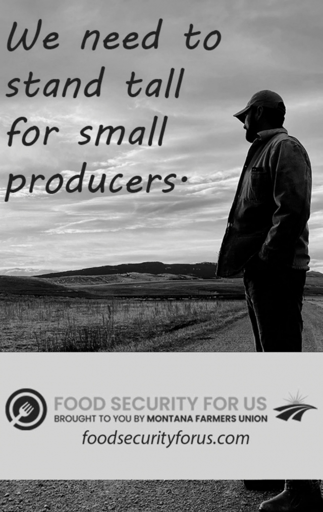 We Need to Stand Tall for Small Producers, Food Security For Us