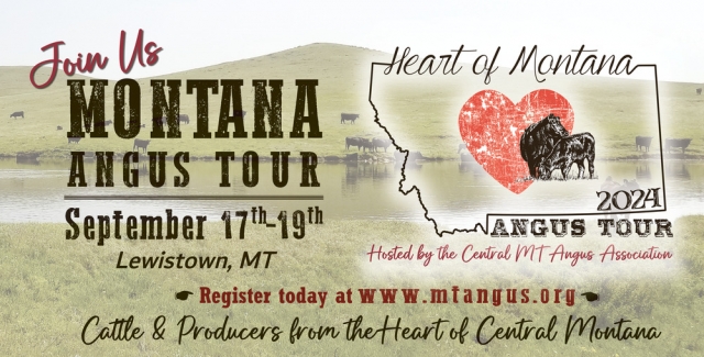 Cattle & Producers From the Heart of Central Montana, Montana Angus Tour (September 17-19, 2024)