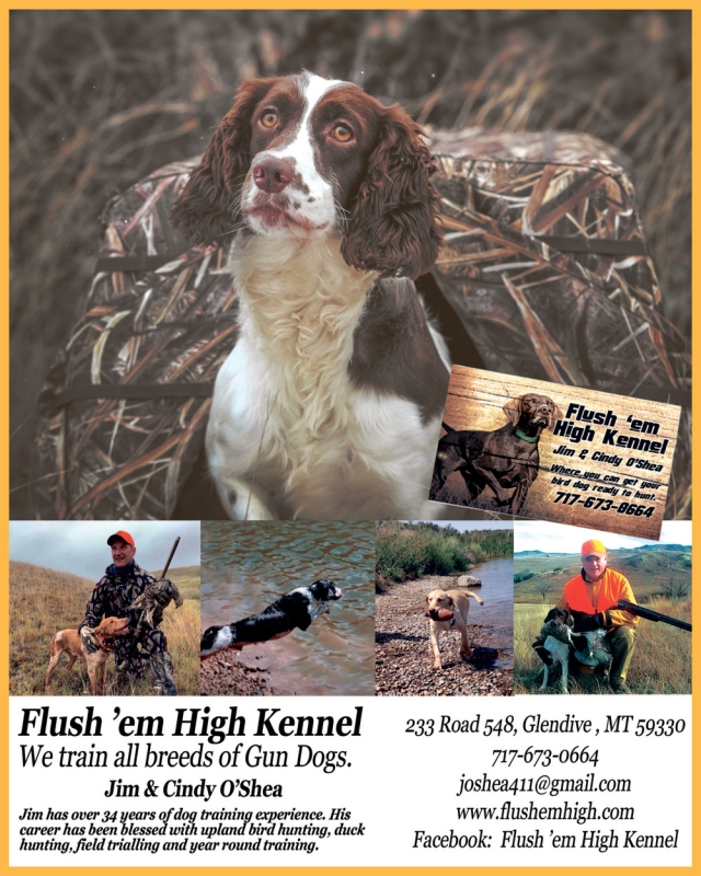 We Train All Breeds of Gun Dogs, Flush's Em High Kennel