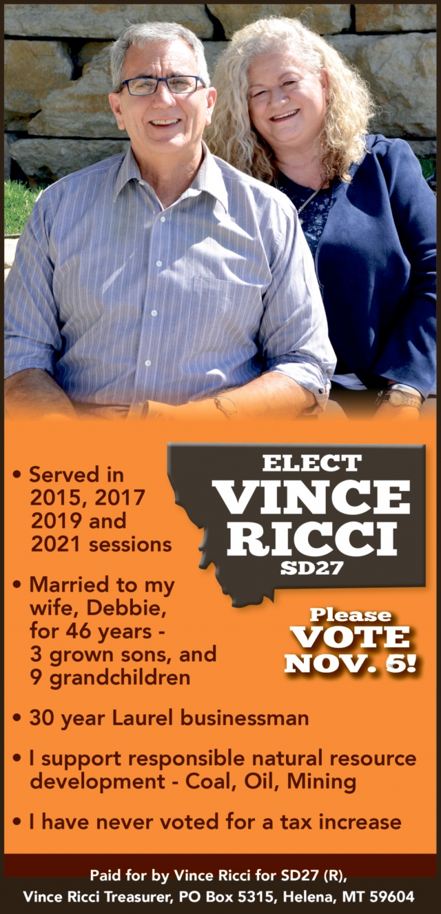 Please Vote November 6!, Vince Ricci