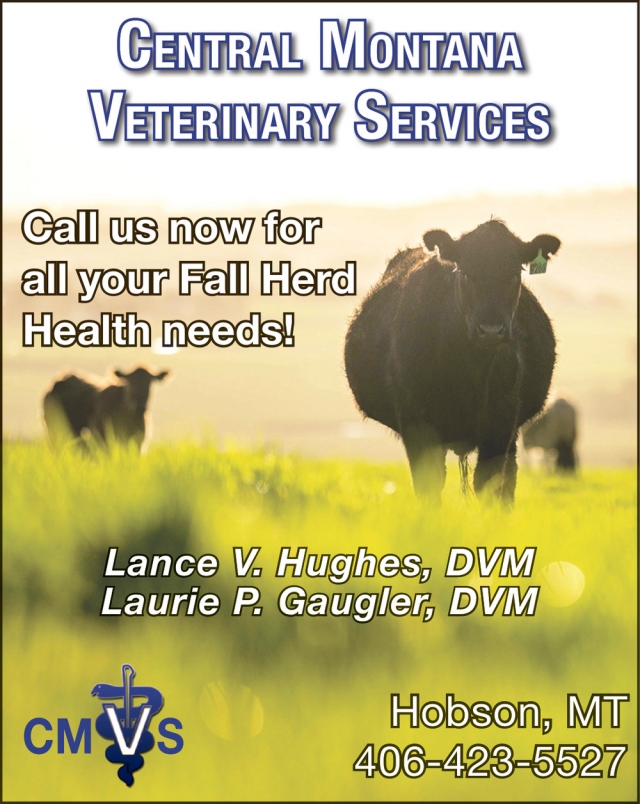 Veterinary Services, Central Montana Veterinary Services, Hobson, MT