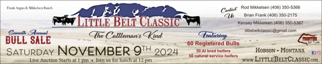 Bull Sale, Little Belt Classic (November 9, 2024)