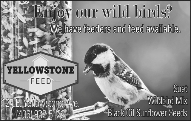 Enjoy Our Wild Birds?, Yellowstone Feed, Big Timber, MT