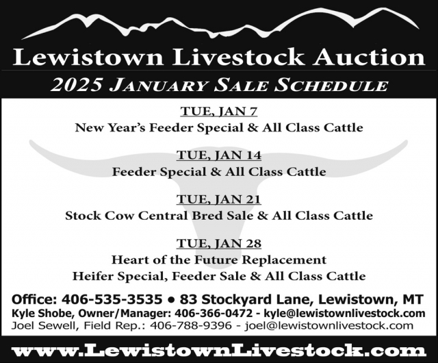 New Year's Feeder Special & All Class Cattle, Lewistown Livestock Auction, Lewistown, MT